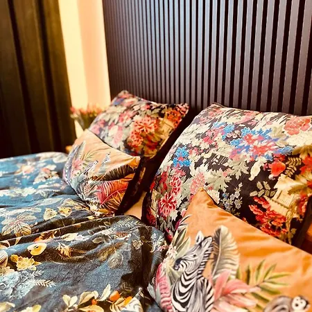 Holidayahrpartment Daire *