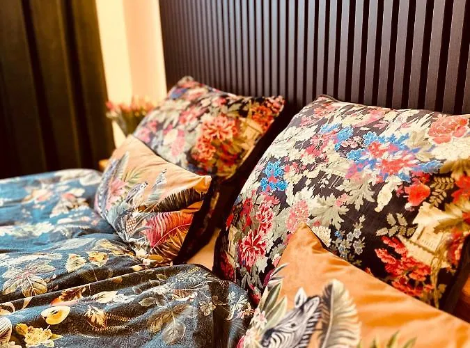 Holidayahrpartment 公寓 *